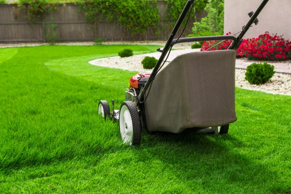 Grass Mowing in Martinsburg