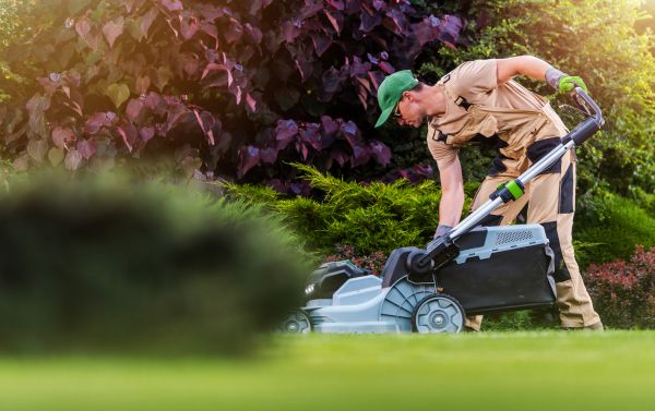 Lawn Care And Maintenance in Martinsburg