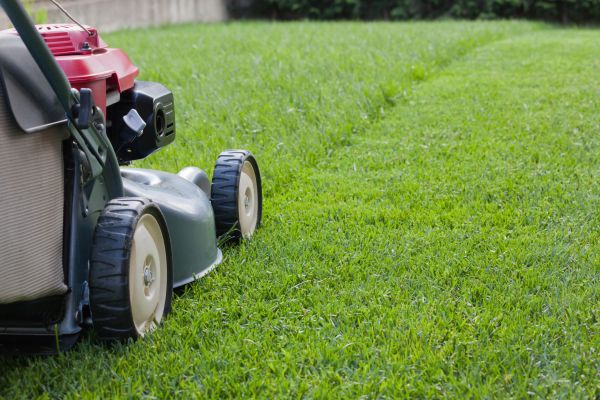 Lawn Care Service in Martinsburg