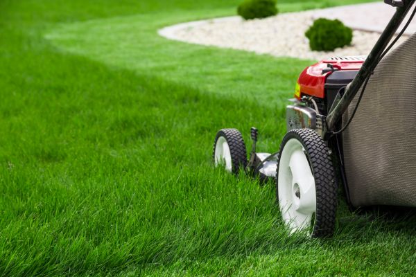 Mowing Service in Martinsburg