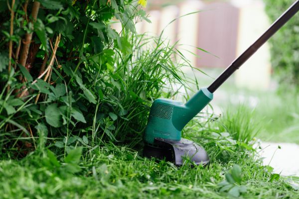 Weed Whacking in Martinsburg