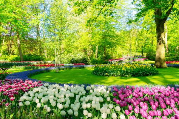 Spring Lawn Care in Martinsburg