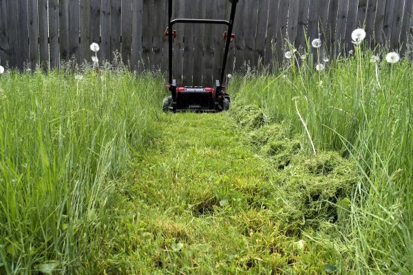 High Grass Mowing in Martinsburg