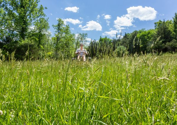 Long Grass Mowing in Martinsburg