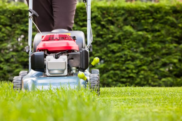 Grass Trimming Service in Martinsburg