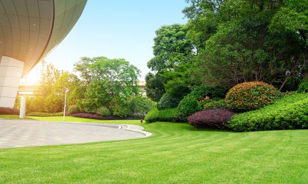 Business Groundskeeping in Martinsburg