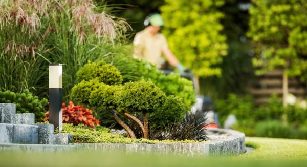Residential Yard Maintenance in Martinsburg