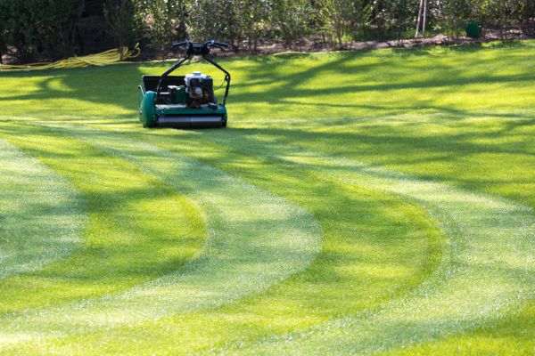 Business Lawn Mowing in Martinsburg
