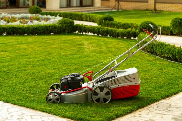 Business Grass Cutting in Martinsburg