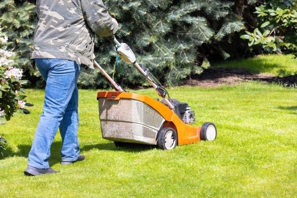Springtime Lawn Care in Martinsburg