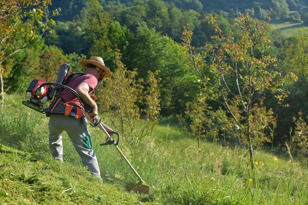 Slope Mowing in Martinsburg