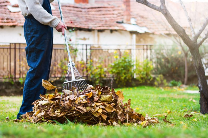 Seasonal Lawn Maintenance