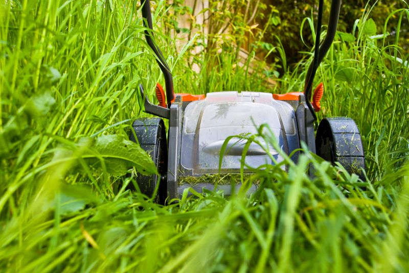 Lawn Cutting Service detail